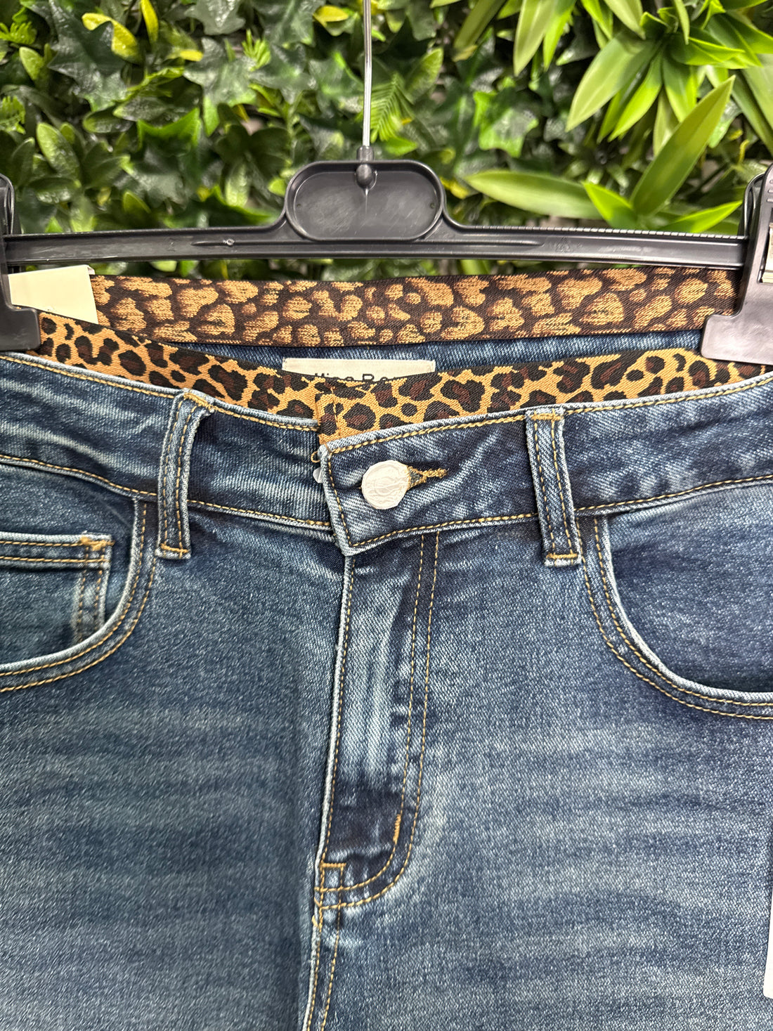 Pantalón  Tigre