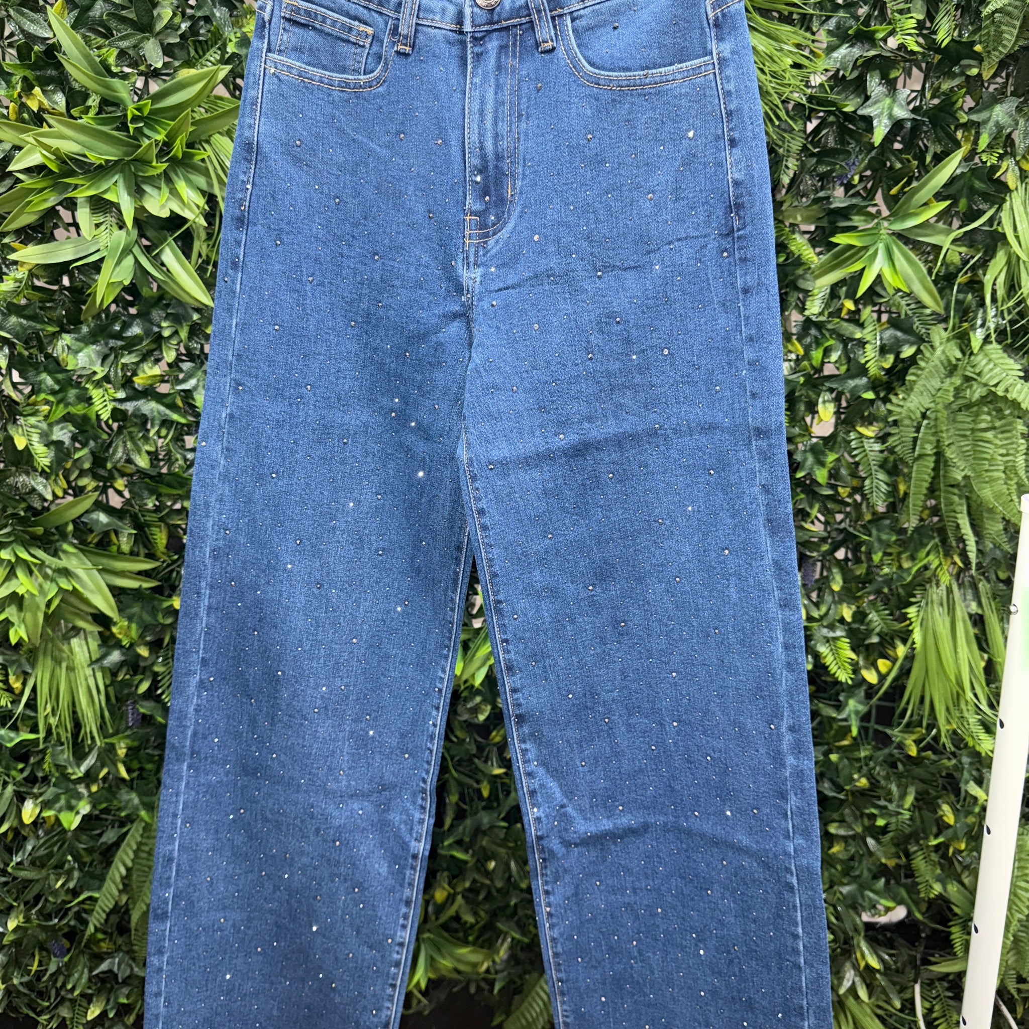 Pantalón Brillo